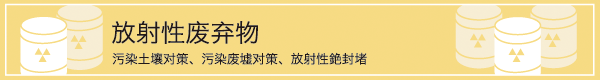 放射性廃棄物（汚染土壌対策、汚染焼却灰対策、汚染汚泥対策）